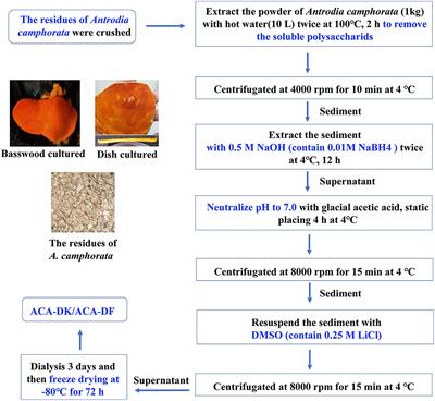 Structural and Potential Functional Properties of Alkali-Extracted Dietary Fiber From Antrodia camphorata